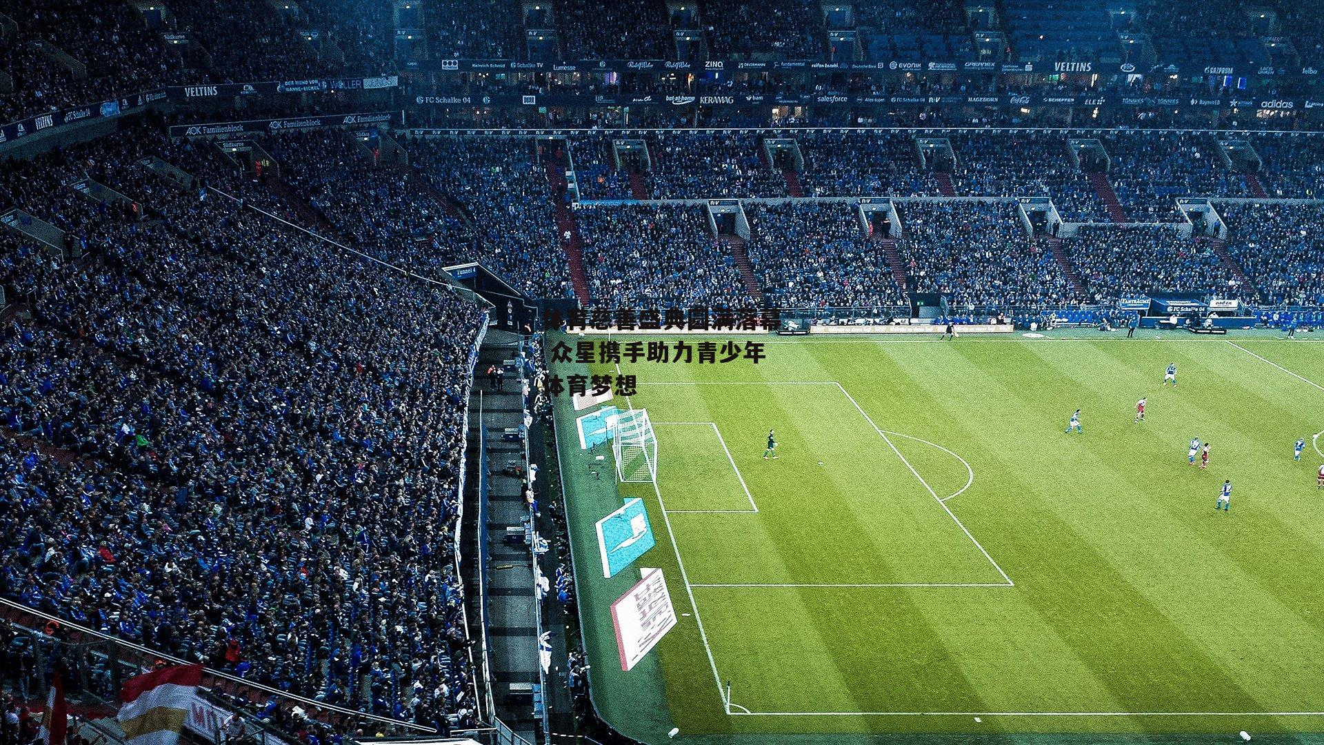 体育慈善盛典圆满落幕 众星携手助力青少年体育梦想|爱游戏官方网站